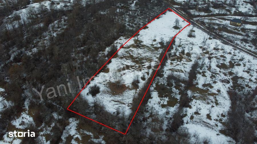 Teren de 4377 mp, în Bradu