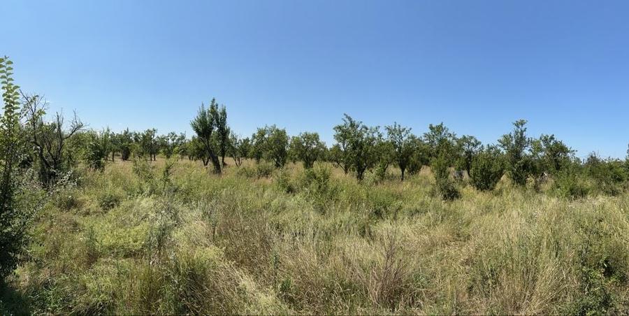 Teren de 780 mp, în Bascov