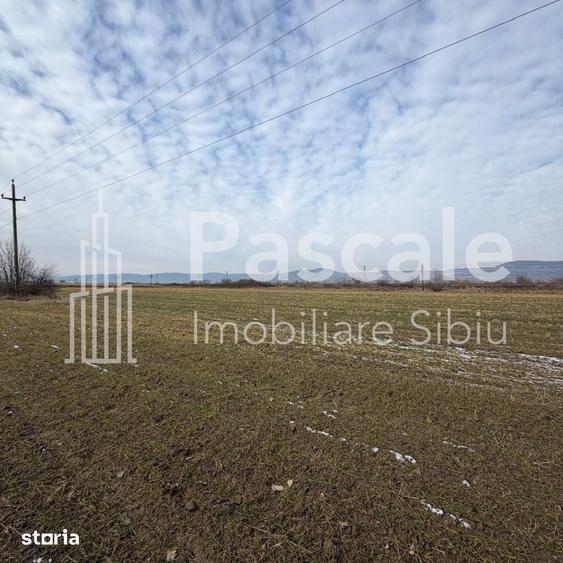 Teren de 5000 mp, în Central