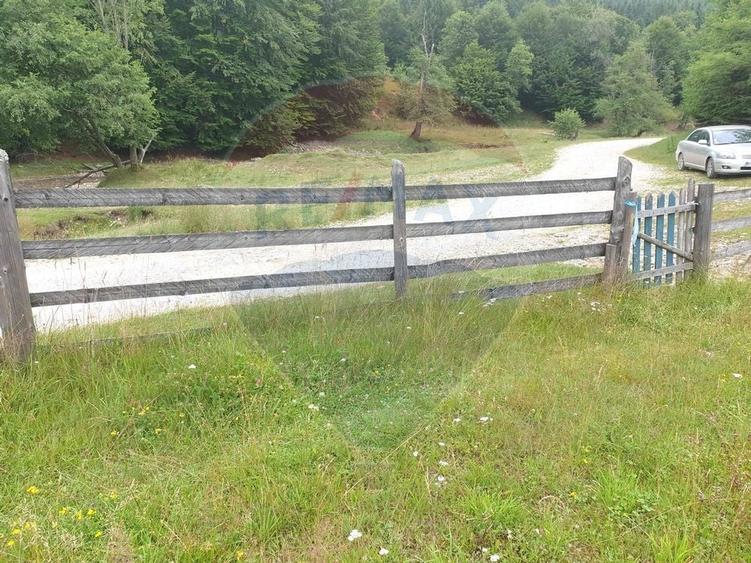 Teren agricol extravilan de 20000 mp, în Dălghiu