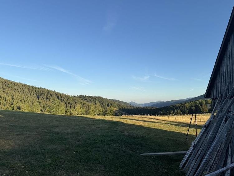 Teren de 15000 mp, în Poienița