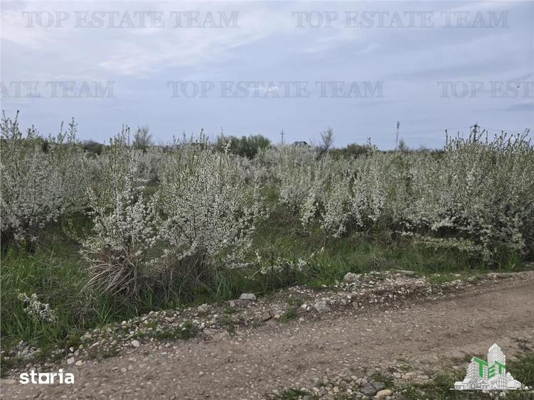 Teren de 420 mp, în Joița