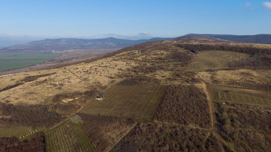 Teren agricol extravilan de 6800 mp, în Covăsinț