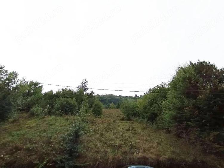 Teren de 7100 mp, în Rusca