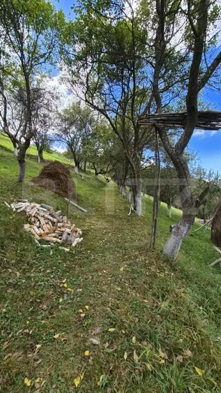 Casă individuală cu 3 camere cu Teren 23000 Mp în Poiana Mărului