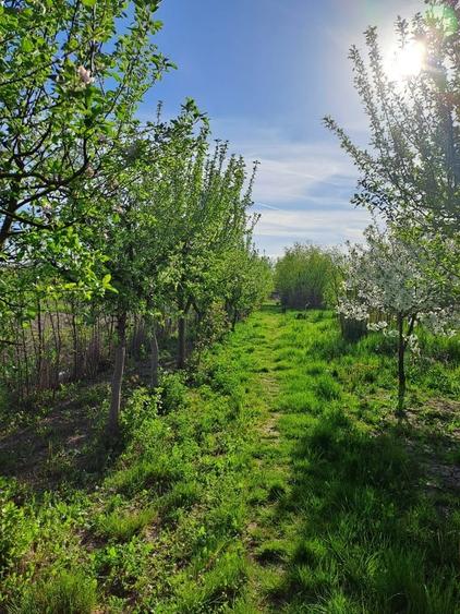 Casă cu 5 camere cu Teren 5600 Mp în Potlogi