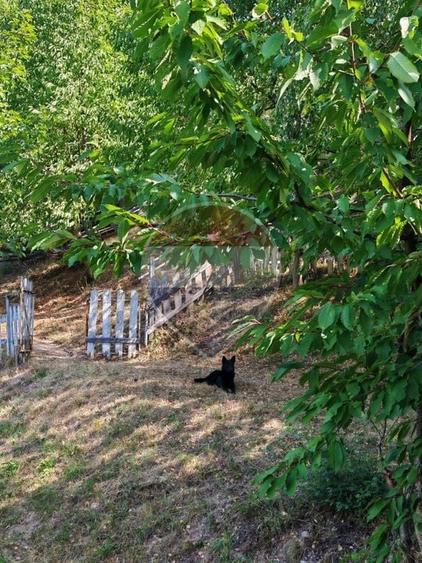 Casă individuală cu 4 camere cu Teren 930 Mp în Valea Ierii