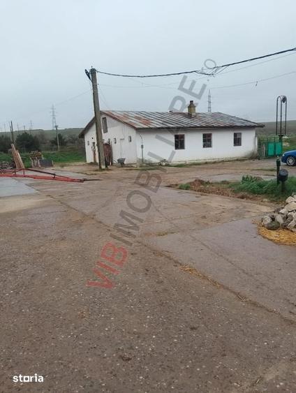 Teren de 1000000 mp, în Central