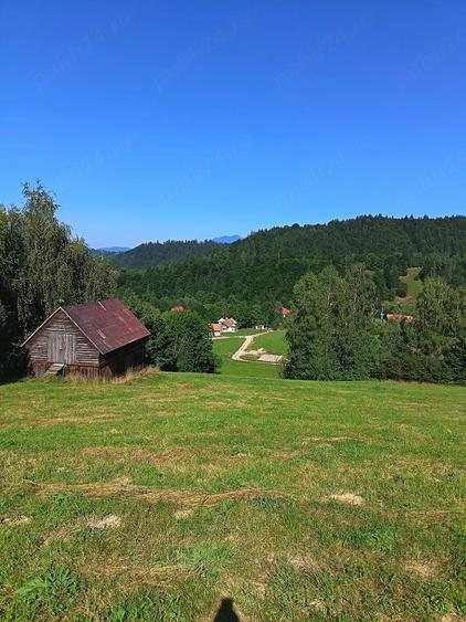 Teren de 8000 mp, în Bran