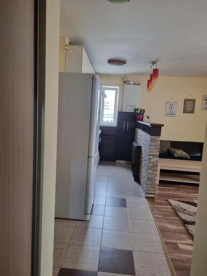 Apartament cu 3 camere decomandat în Păcurari