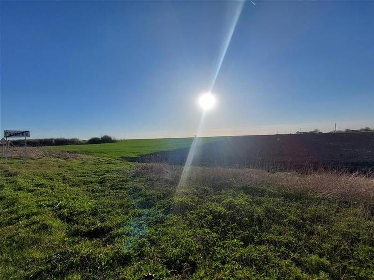 Teren agricol extravilan de 10000 mp, în Fântânele