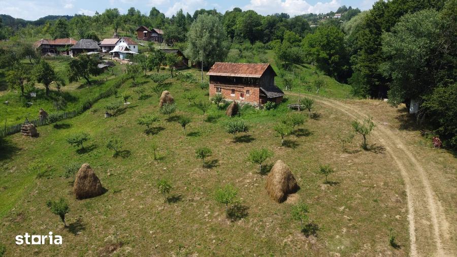 Teren de 6200 mp, în Cicănești