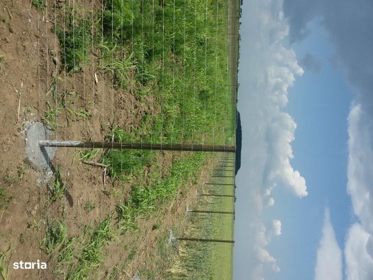 Teren 1070 mp Corbeanca in apropierea lacului - 1