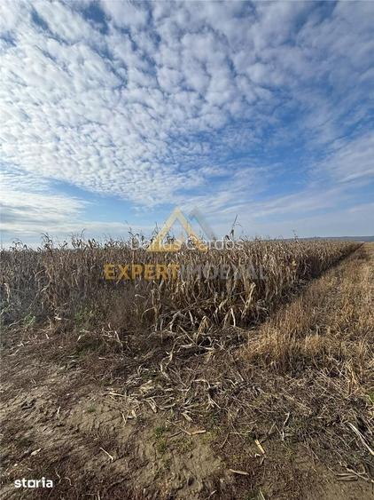 Teren extravilan de vanzare in Hideaga 8.400 mp, aproape de drumul p