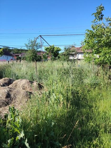 Casă individuală cu 2 camere cu Teren 3750 Mp în Ceanu Mare