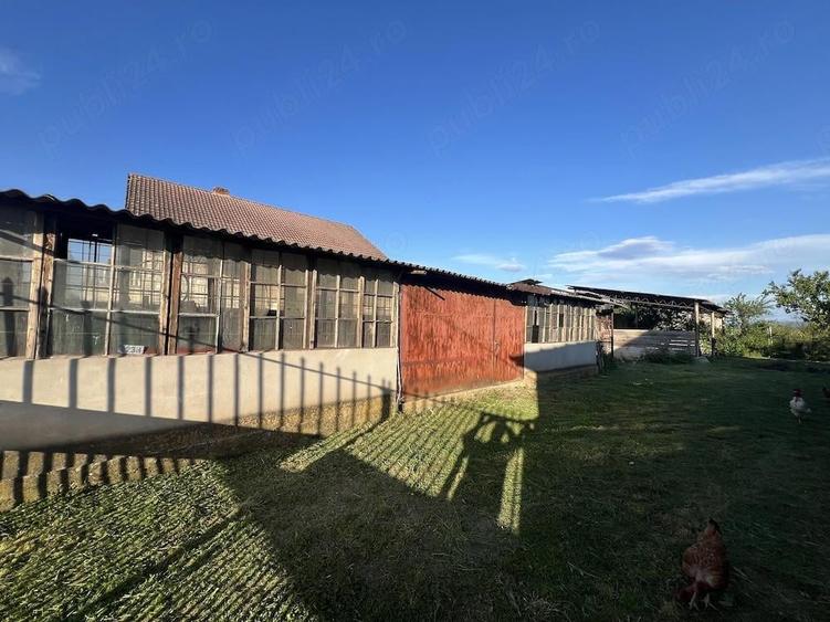 Casă cu 3 camere cu Teren 2000 Mp în Berzovia