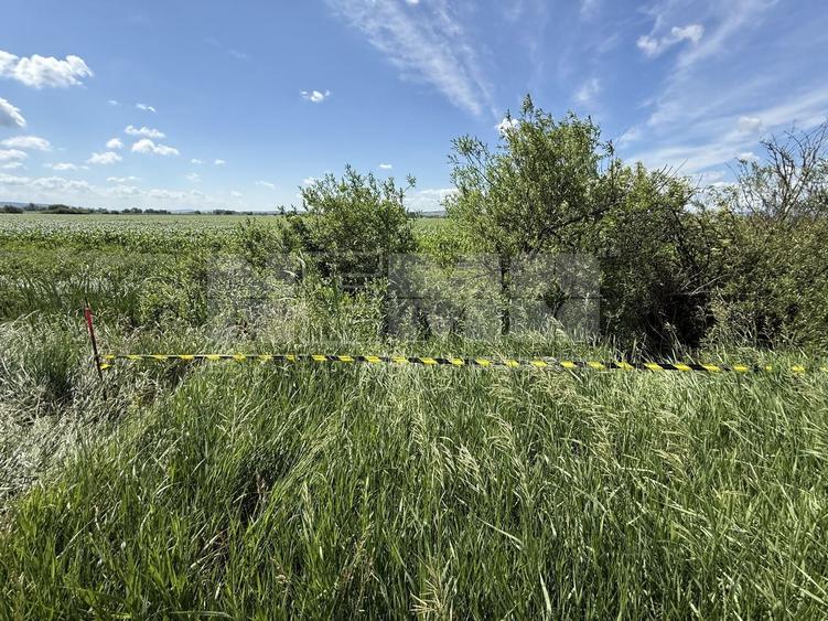 Teren agricol extravilan de 4000 mp, în Central