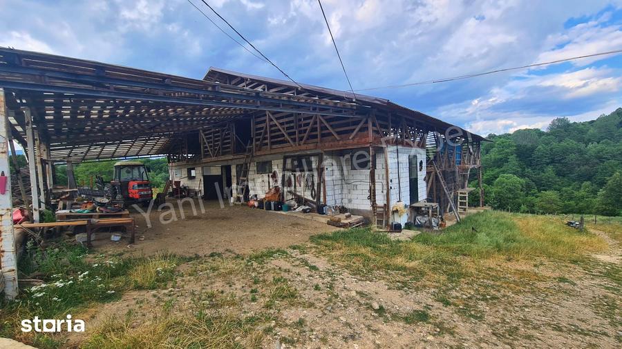 Teren de 55422 mp, în Bughea de Jos