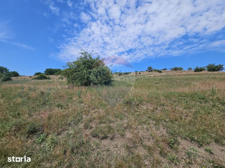 Teren de 11600 mp, în Apahida
