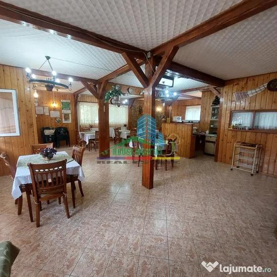 Spațiu comercial, de 450 mp, în Lepșa
