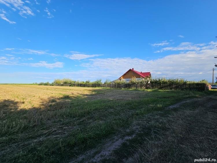 Teren de 11000 mp, în Lăceni
