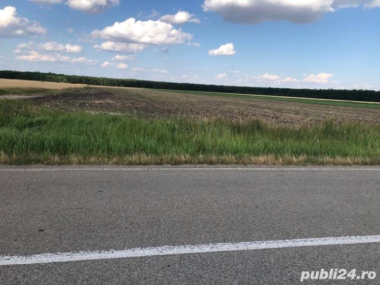 Teren de 15000 mp, în Pielești