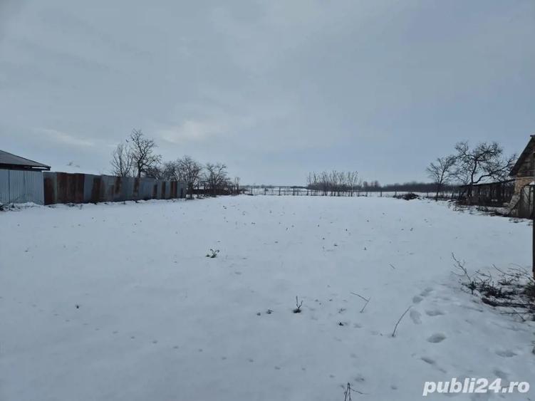 Teren de 140000 mp, în Foeni