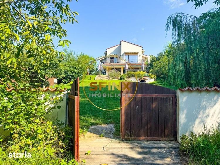 Casa speciala pe malul lacului Scrovistea | Ponton | Padure | Livada - 5