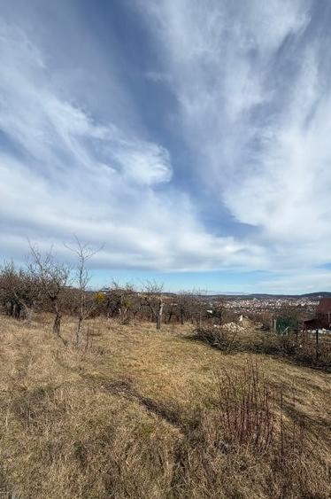Teren Construcții intravilan de 5000 mp, în Central