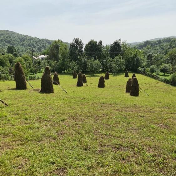 Teren Construcții intravilan de 3200 mp, în Adunați
