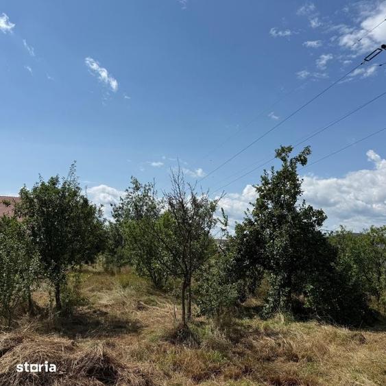 Teren de 1072 mp, în Valea Borcutului
