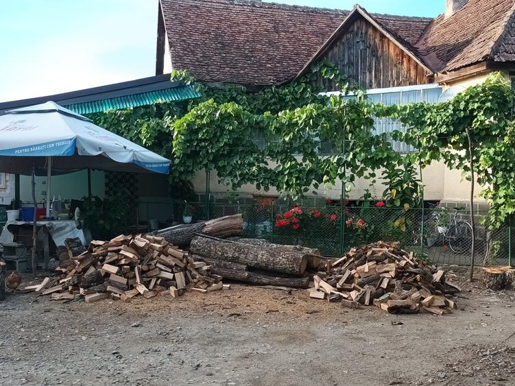 Casă cu 4 camere în Dipșa
