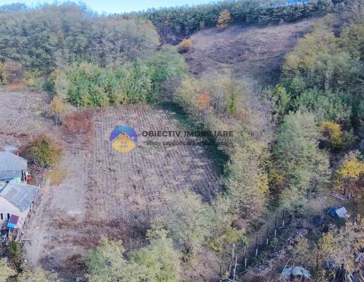 Teren Construcții intravilan de 11766 mp, în Costișa