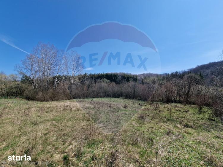 Teren de 9428 mp, în Mărgineni
