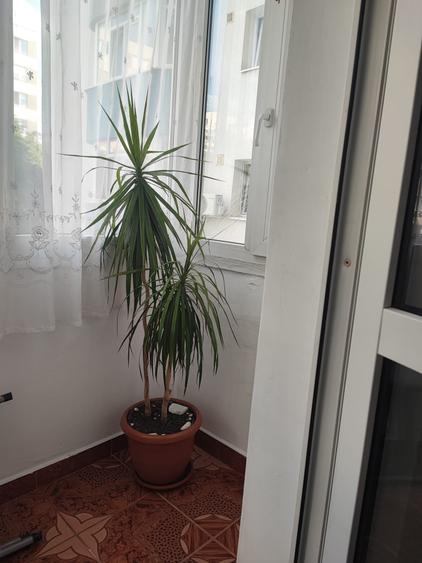 Apartament cu 2 camere în Rahova