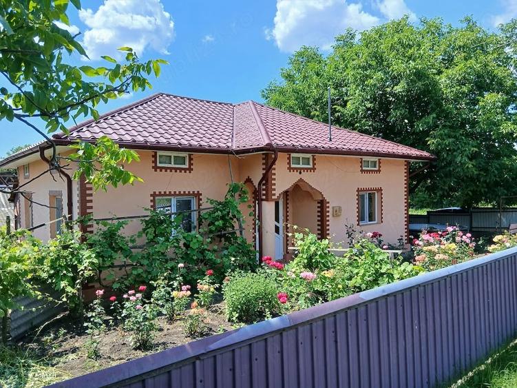 Casă cu 4 camere cu Teren 6000 Mp în Havârna