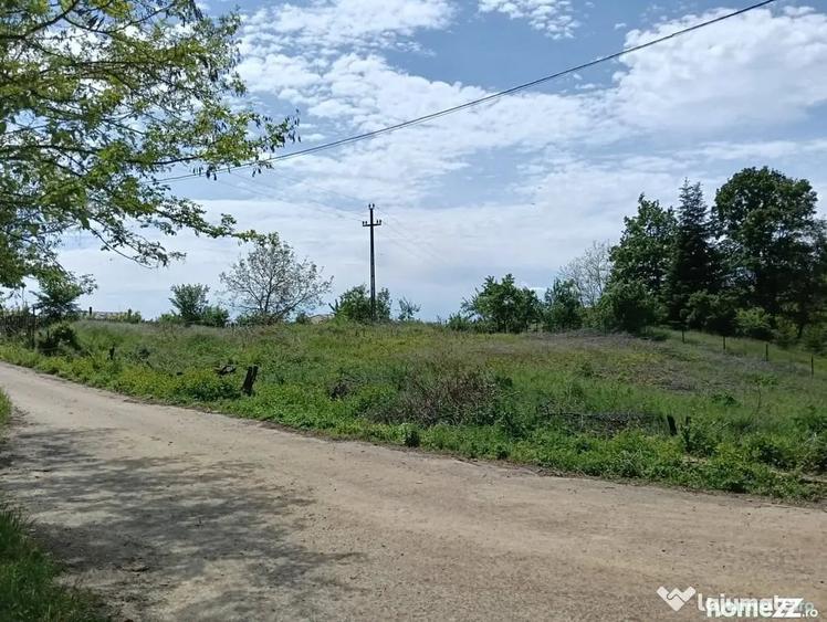 Teren de 1807 mp, în Cocorăștii Mislii