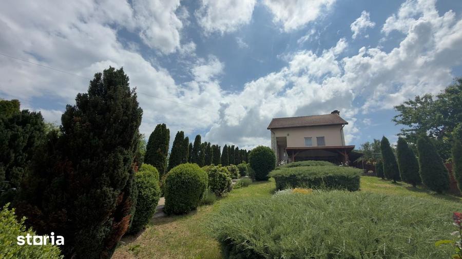 Casa, 6 camere, 2000 mp teren, Mera Noua - 8