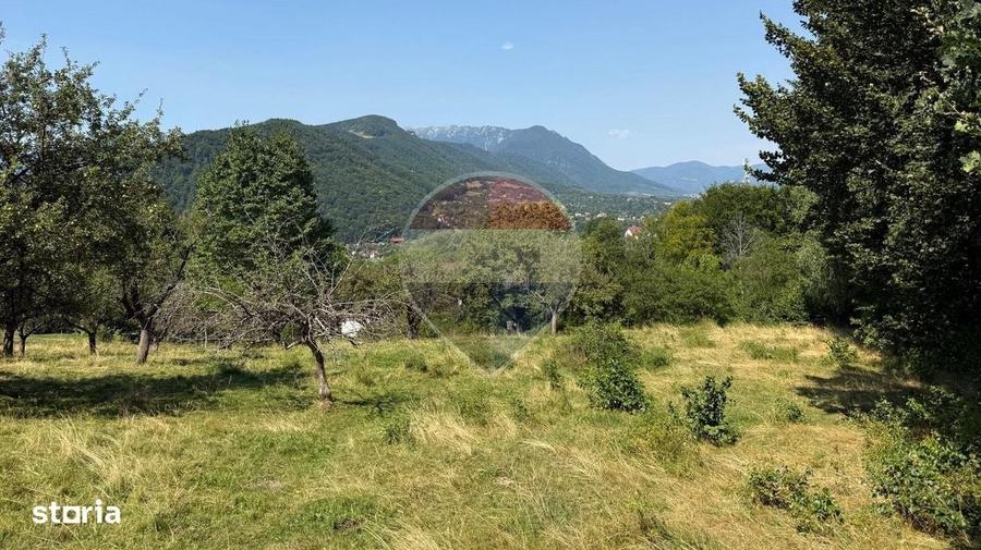 Comision 0% |Teren intravilan 2.700 mp | Sohodol Bran |Castelul Bran - 9