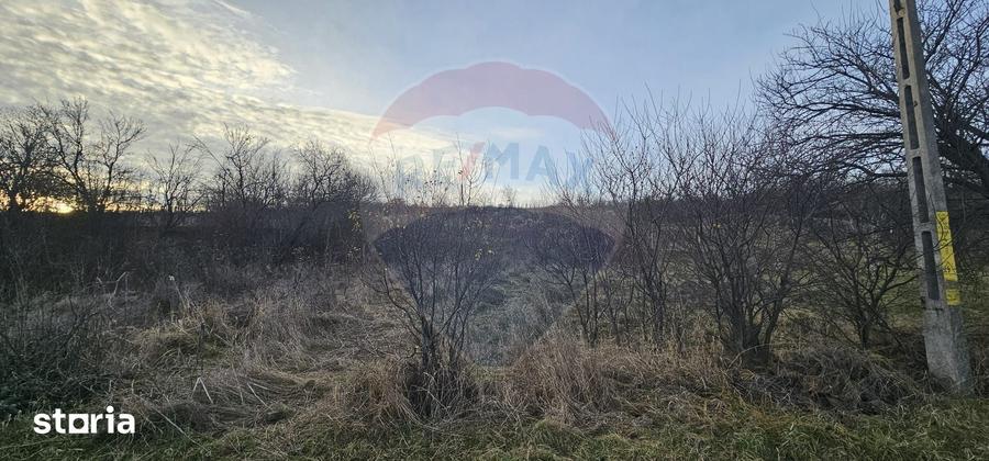 Teren de 2500 mp, în Odobești