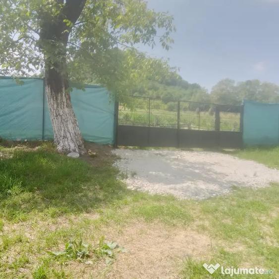 Casă cu 2 camere în Central