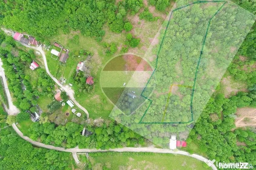 Teren de 6700 mp, în Pietroasa