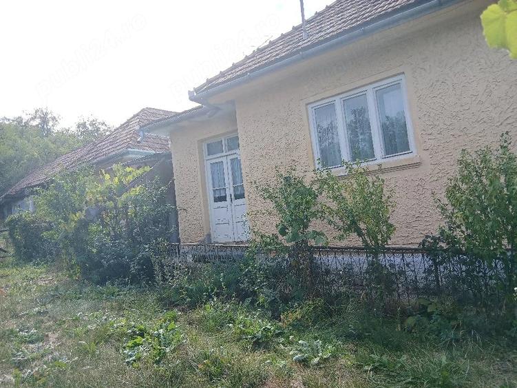 Casă cu 3 camere în Șincai