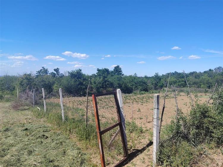 Teren intravilan de 888 mp, în Paleu