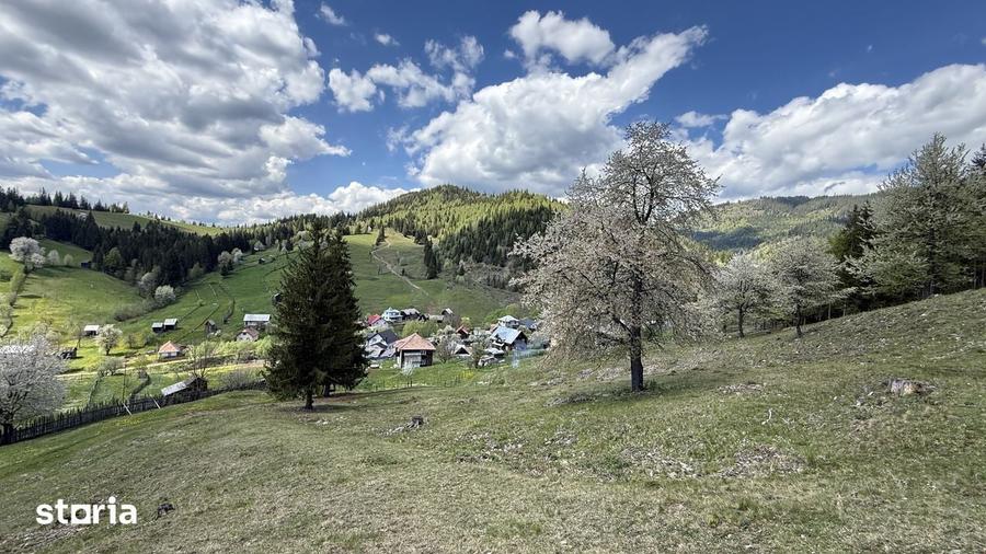 Teren de 22959 mp, în Sadova