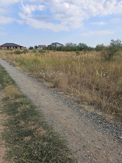 Teren Construcții intravilan de 660 mp, în Șag