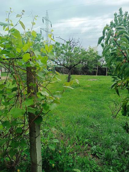 casa de vinzare in com Floresti,sat.Catina,jud Prahova,4camere,gaze,apa,canalizare ,1450mp pe str principala nu are baie,15 km MORENI,15km CAMPINA, - 7