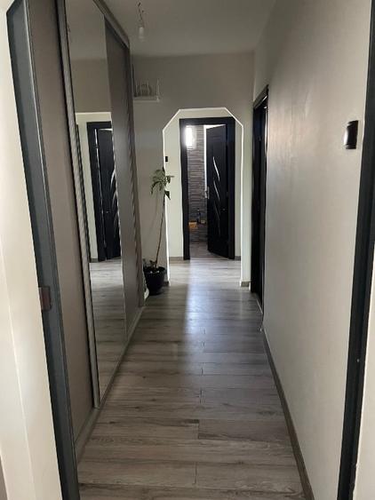 Apartament cu 3 camere decomandat, mobilat în Alexandru cel Bun
