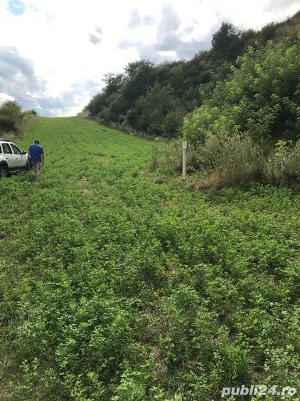 Teren de 11500 mp, în Micăsasa