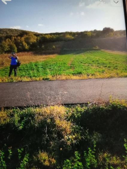 Teren de 7500 mp, în Ciucurova